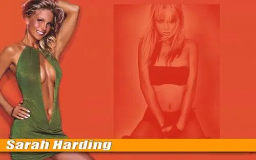 Sarah Harding Jigsaw Puzzle picture 176521
