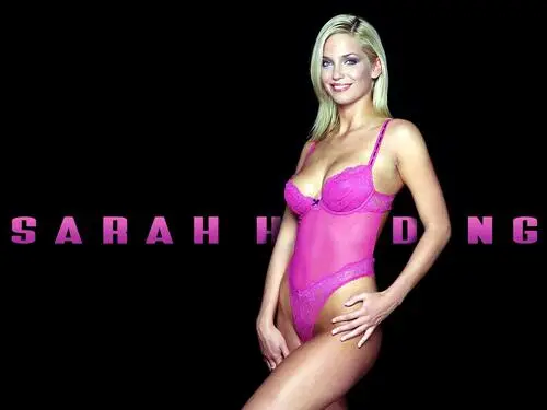 Sarah Harding Wall Poster picture 176542