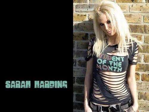 Sarah Harding Jigsaw Puzzle picture 176544