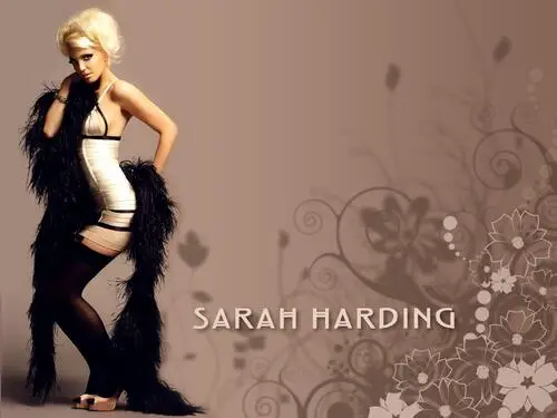 Sarah Harding Jigsaw Puzzle picture 176553