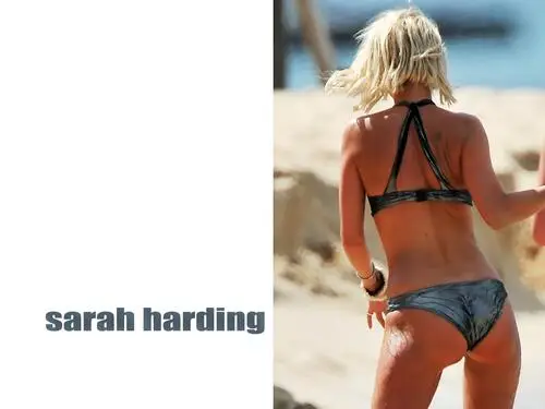 Sarah Harding Tote Bag - idPoster.com