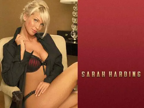 Sarah Harding Jigsaw Puzzle picture 176564