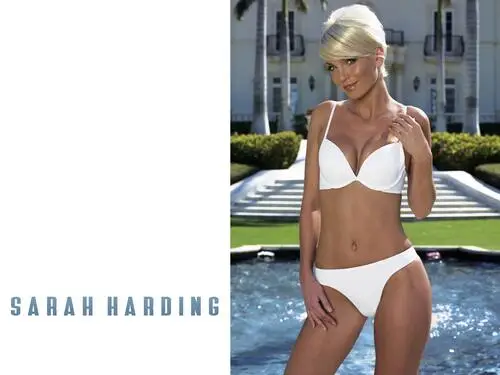 Sarah Harding Jigsaw Puzzle picture 176565