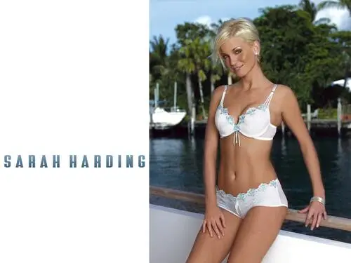 Sarah Harding Jigsaw Puzzle picture 176566