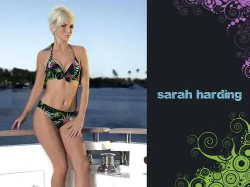 Sarah Harding Wall Poster picture 176573