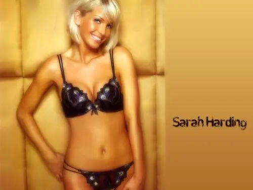 Sarah Harding Wall Poster picture 176576