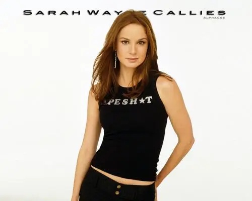 Sarah Wayne Callies White T-Shirt - idPoster.com