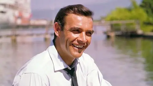 Sean Connery Wall Poster picture 932906