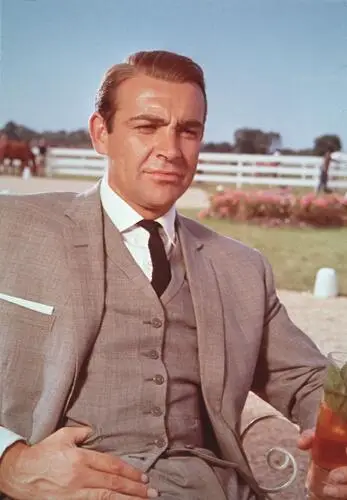 Sean Connery Wall Poster picture 933039