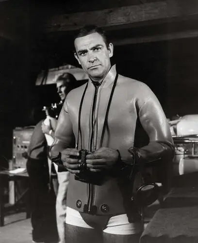 Sean Connery Wall Poster picture 933058