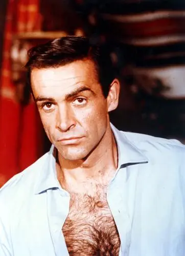 Sean Connery Wall Poster picture 933100