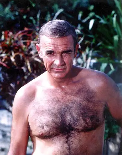 Sean Connery Wall Poster picture 933103