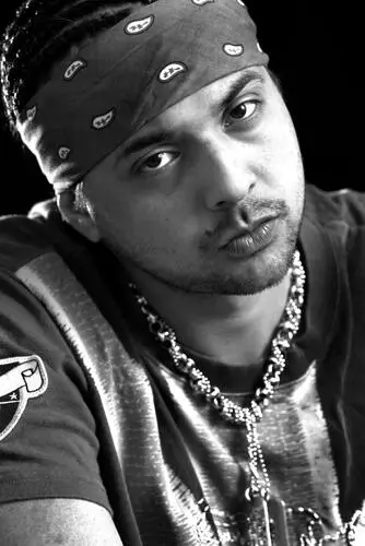 Sean Paul Wall Poster picture 495517