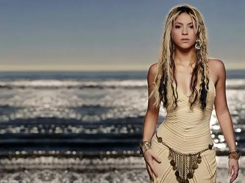 Shakira Women's Colored Hoodie - idPoster.com