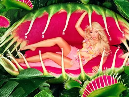 Shakira Fridge Magnet picture 177167