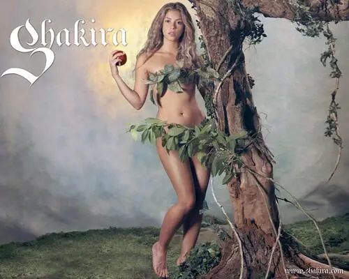 Shakira Wall Poster picture 19029