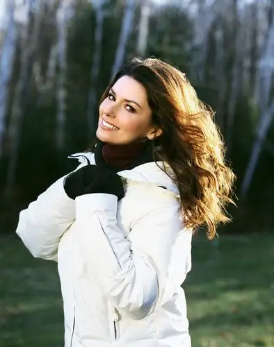 Shania Twain Jigsaw Puzzle picture 19255