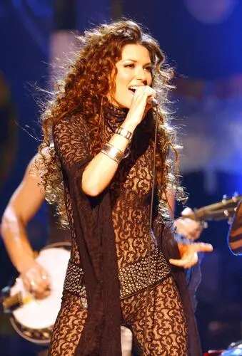 Shania Twain Jigsaw Puzzle picture 47760