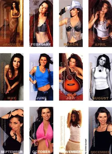 Shania Twain Wall Poster picture 47782