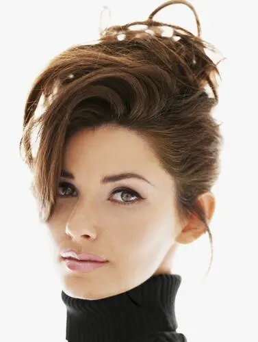 Shania Twain Wall Poster picture 521903