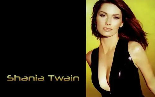 Shania Twain Wall Poster picture 521930