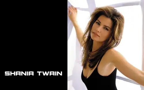 Shania Twain Jigsaw Puzzle picture 521938