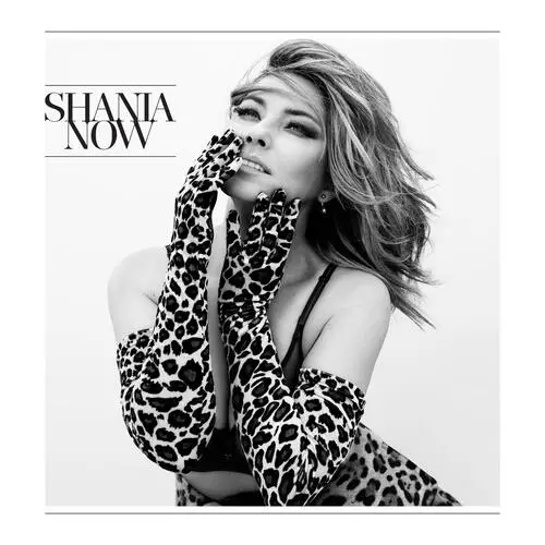 Shania Twain Wall Poster picture 877385