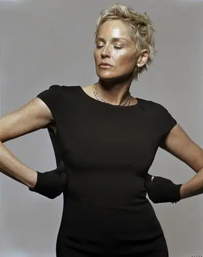 Sharon Stone Jigsaw Puzzle picture 550247