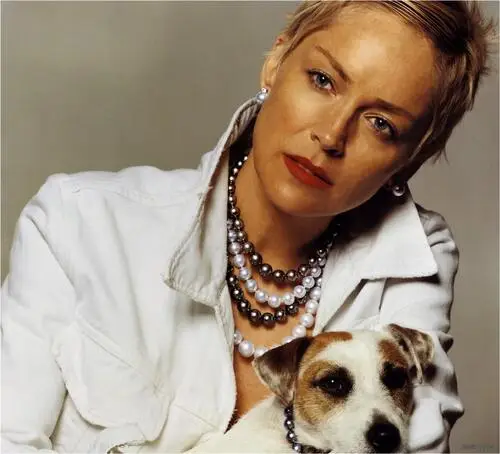 Sharon Stone Wall Poster picture 82291