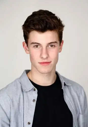 Shawn Mendes Computer MousePad picture 474782