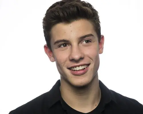 Shawn Mendes Wall Poster picture 808458