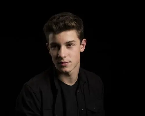Shawn Mendes Computer MousePad picture 808459