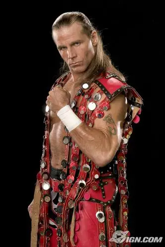 Shawn Michaels Wall Poster picture 77754