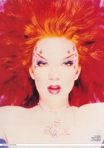 Shirley Manson Wall Poster picture 262646
