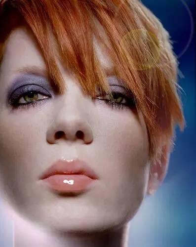 Shirley Manson Wall Poster picture 48115