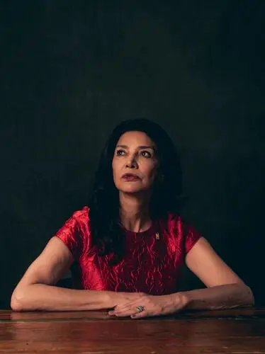 Shohreh Aghdashloo Wall Poster picture 808491