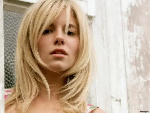 Sienna Miller Jigsaw Puzzle picture 19452