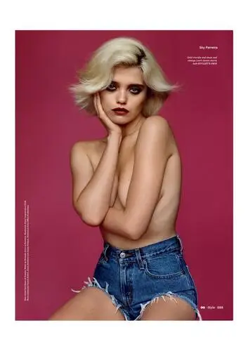 Sky Ferreira Wall Poster picture 262948