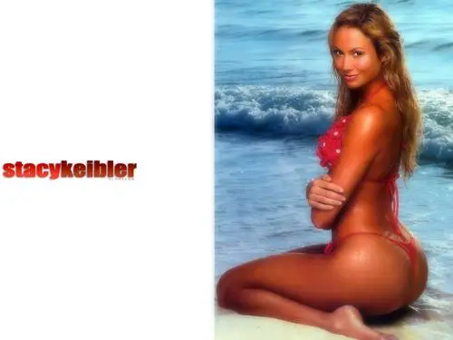 Stacy Keibler Jigsaw Puzzle picture 177680