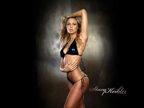 Stacy Keibler Computer MousePad picture 177694