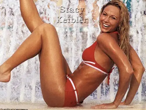 Stacy Keibler Jigsaw Puzzle picture 79856