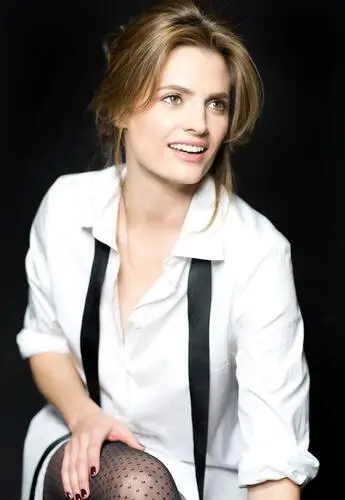 Stana Katic Wall Poster picture 878331