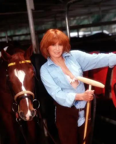 Stefanie Powers Wall Poster picture 263776