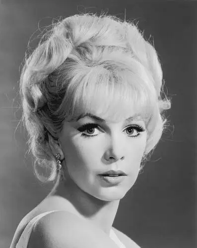 Stella Stevens Wall Poster picture 240676