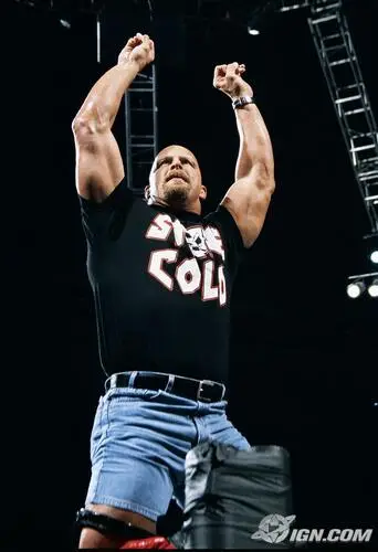 Steve Austin Wall Poster picture 77766