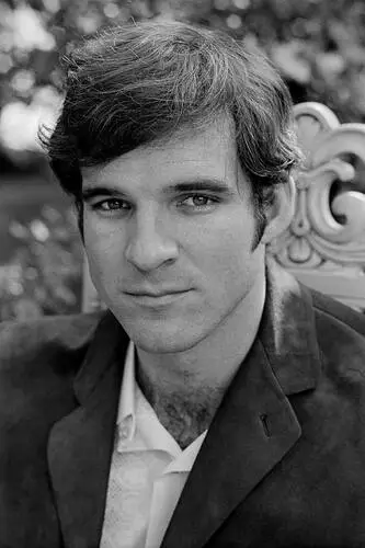 Steve Martin Wall Poster picture 524325