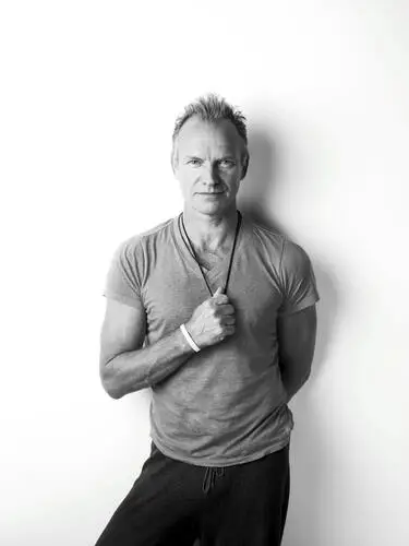 Sting Jigsaw Puzzle picture 527448