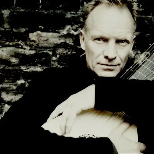 Sting Jigsaw Puzzle picture 70778