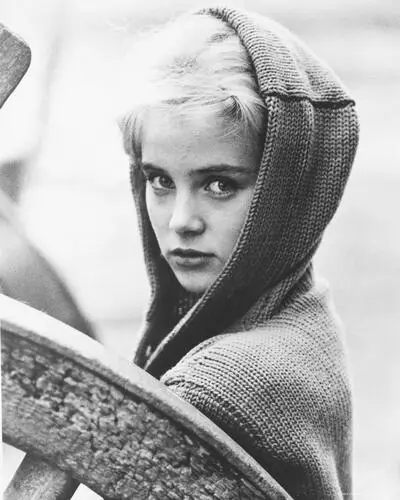 Sue Lyon Wall Poster picture 263930