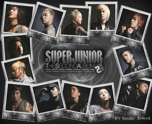 Super Junior Fridge Magnet picture 103937